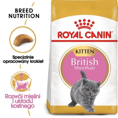 Royal Canin British Shorthair Kitten karma sucha dla kociąt, do 12 miesiąca, rasy brytyjski krótkowłosy 2kg Royal Canin British Shorthair Kitten karma sucha dla kociąt, do 12 miesiąca, rasy brytyjski krótkowłosy 2kg