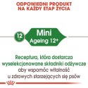 Royal Canin Mini Ageing karma mokra w sosie dla psów dojrzałych po 8 roku życia, ras małych saszetka 85g