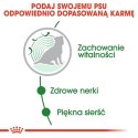 Royal Canin Mini Ageing karma mokra w sosie dla psów dojrzałych po 8 roku życia, ras małych saszetka 85g