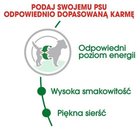 Royal Canin Mini Adult karma sucha dla psów dorosłych, ras małych 9kg (8+1kg) Royal Canin Mini Adult karma sucha dla psów dorosłych, ras małych 9kg (8+1kg)