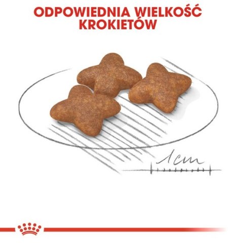 Royal Canin Mini Adult karma sucha dla psów dorosłych, ras małych 9kg (8+1kg) Royal Canin Mini Adult karma sucha dla psów dorosłych, ras małych 9kg (8+1kg)