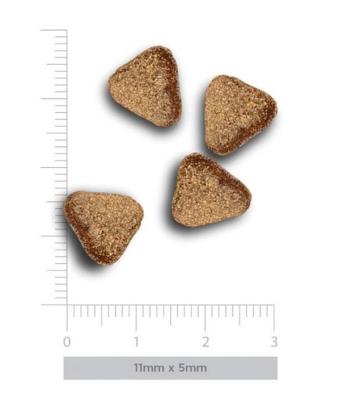 Amanova Dog Adult Mini Digestive Divine Rabbit - królik 2kg Amanova Dog Adult Mini Digestive Divine Rabbit - królik 2kg