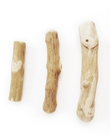 Stick / Patyk z drzewa kawowego