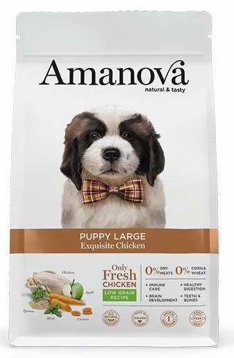 Amanova Dog Puppy Large Exquisite Chicken - kurczak 12kg Amanova Dog Puppy Large Exquisite Chicken - kurczak 12kg