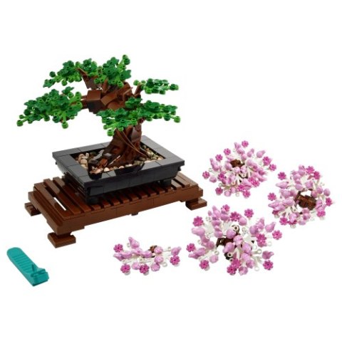 10281 | Drzewko bonsai 10281 | Drzewko bonsai