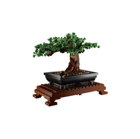 10281 | Drzewko bonsai 10281 | Drzewko bonsai