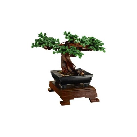 10281 | Drzewko bonsai 10281 | Drzewko bonsai
