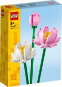 40647 | Kwiaty lotosu