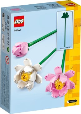 40647 | Kwiaty lotosu