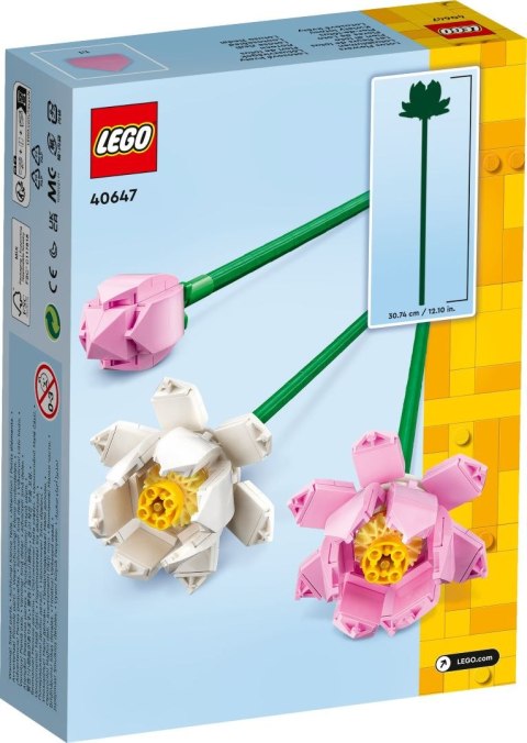 40647 | Kwiaty lotosu 40647 | Kwiaty lotosu