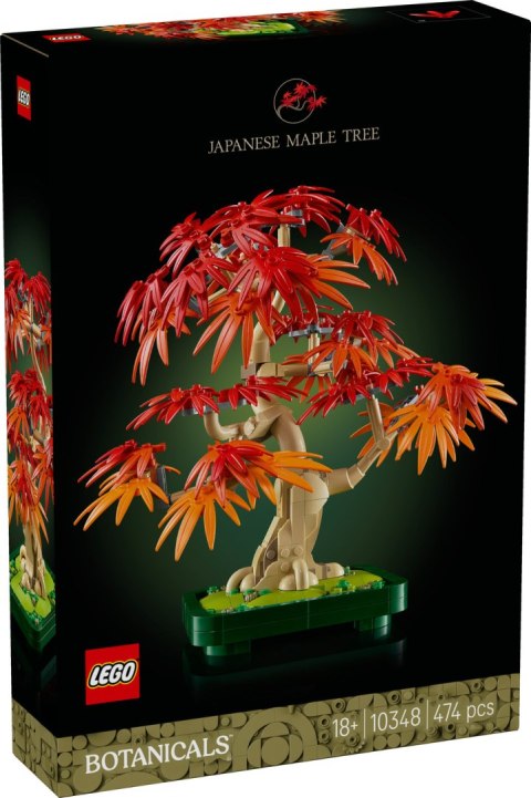 10348 | Klon Palmowy Bonsai 10348 | Klon Palmowy Bonsai