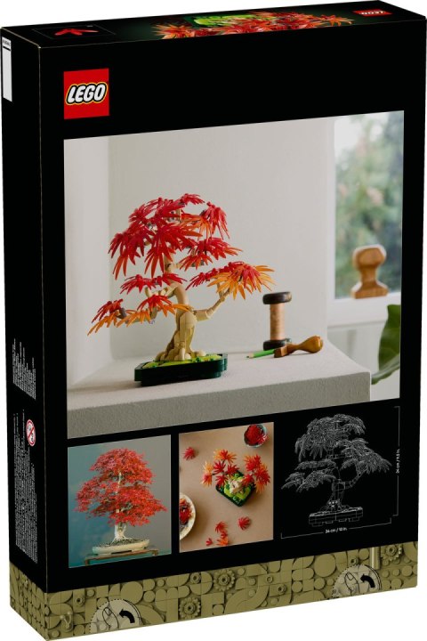 10348 | Klon Palmowy Bonsai 10348 | Klon Palmowy Bonsai