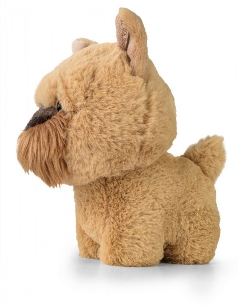 Maskotka TEDDY PETS Gryfonik brukselski Maskotka TEDDY PETS Gryfonik brukselski