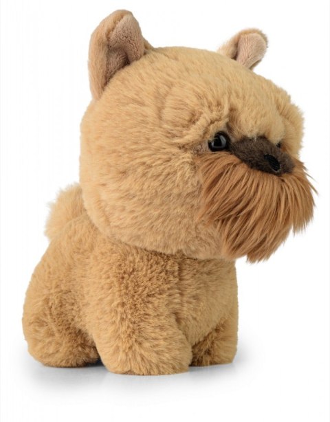 Maskotka TEDDY PETS Gryfonik brukselski Maskotka TEDDY PETS Gryfonik brukselski