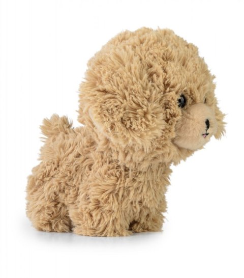 Maskotka TEDDY PETS Złoty pudel Maskotka TEDDY PETS Złoty pudel