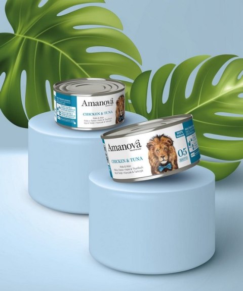 Amanova Cat Chicken & Tuna - kurczak i tuńczyk w bulionie puszka 70g [05]