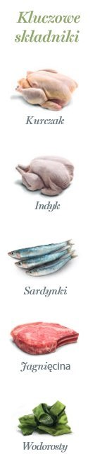 Amanova Cat Sterilised Lamb & Sardines - jagnięcina i sardynki saszetka 85g [P13]