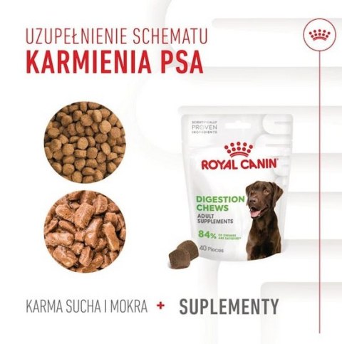 Royal Canin Digestion Chews Adult Supplements 160g Royal Canin Digestion Chews Adult Supplements 160g