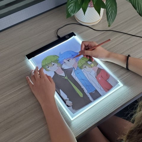 Tablica Deska Kreślarska Do Rysunku Kaligrafii Podświetlana LED A4 Tablica Deska Kreślarska Do Rysunku Kaligrafii Podświetlana LED A4