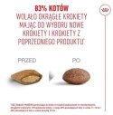 Royal Canin Ageing +11 Sterilised karma sucha dla kotów dojrzałych, sterylizowanych 400g