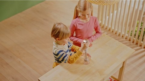 Blender Bosch z pojemnikiem srebrny Blender Bosch z pojemnikiem srebrny