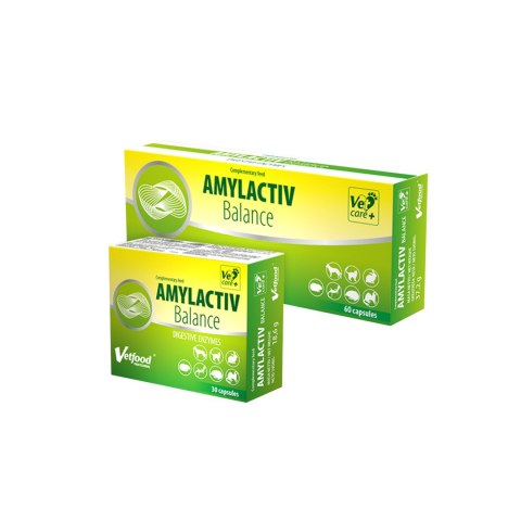 Vetfood Amylactiv Balance wspomagający trawienie u psa i kota