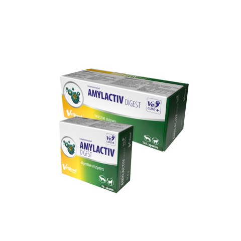 Vetfood Amylactiv Digest wspomagający trawienie u psa i kota