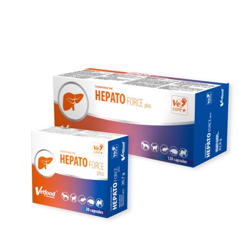 Vetfood Hepatoforce Plus wspomaga i regeneruje wątrobę psa kota