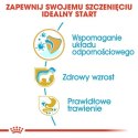 Royal Canin Jack Russell Terrier Puppy karma sucha dla szczeniąt do 10 miesiąca, rasy jack russell terrier 500g