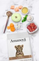 Amanova Cat Kitten Exquisite Chicken - kurczak 4kg