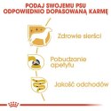 Royal Canin Yorkshire Terrier Adult karma mokra - pasztet, dla psów dorosłych rasy yorkshire terrier saszetka 85g