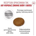 Royal Canin Hair&Skin Care karma sucha dla kotów dorosłych, lśniąca sierść i zdrowa skóra 4kg