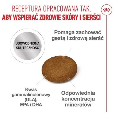 Royal Canin Hair&Skin Care karma sucha dla kotów dorosłych, lśniąca sierść i zdrowa skóra 4kg