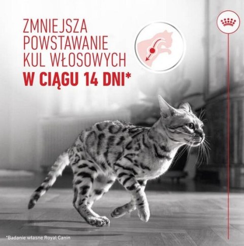 Royal Canin Hairball Care karma sucha dla kotów dorosłych, eliminacja kul włosowych 4kg