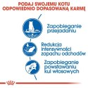 Royal Canin Indoor Appetite Control karma sucha dla kotów dorosłych przebywających w domu, domagających się jedzenia 400g