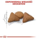 Royal Canin Indoor Appetite Control karma sucha dla kotów dorosłych przebywających w domu, domagających się jedzenia 400g