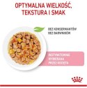 Royal Canin Kitten w galaretce karma mokra dla kociąt do 12 miesiąca życia saszetka 85g