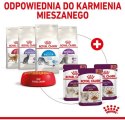 Royal Canin Sensory Feel w sosie karma mokra dla kotów dorosłych saszetka 85g