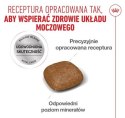 Royal Canin Urinary Care karma sucha dla kotów dorosłych, ochrona dolnych dróg moczowych 4kg
