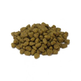 ARQUIVET CAT karma dla kotów sterylizowanych z indykiem 1,5 kg