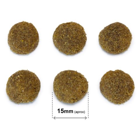 Arquivet Original Adult wieprzowina iberyjska karma dla psa 20kg