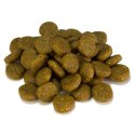 ARQUIVET Sensitive łosoś z ziemniakami karma dla psa 12 kg