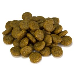 ARQUIVET Sensitive łosoś z ziemniakami karma dla psa 12 kg
