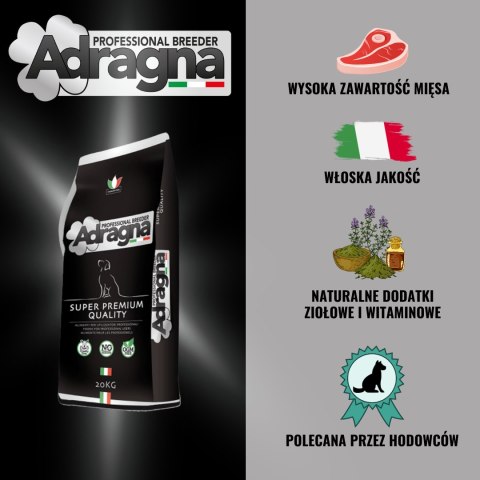 Adragna Breeder Medium/Maxi super premium jagnięcina karma dla psów 20kg