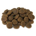Arquivet GRAIN FREE indyk z warzywami karma dla psa 12 kg