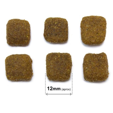 Arquivet Original Adult jagnięcina z ryżem karma dla psa 20kg