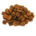 Arquivet Original Adult wieprzowina iberyjska karma dla psa 12kg