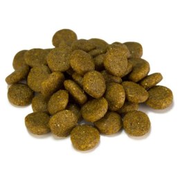 Arquivet Sensitive łosoś z ziemniakami karma dla psa 3 kg