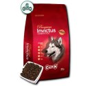 Canun Invictus karma premium dla psa z jagnięciną i rybą 20kg