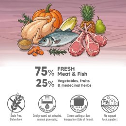 ARQUIVET FRESH półwilgotny przysmak dla psa z jagnięciną 300g